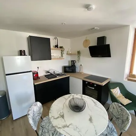 Nouveau Cosy Centre Proche Aeroport Apartment Aulnat