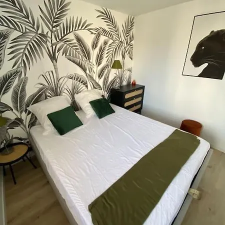 Nouveau Cosy Centre Proche Aeroport Apartment